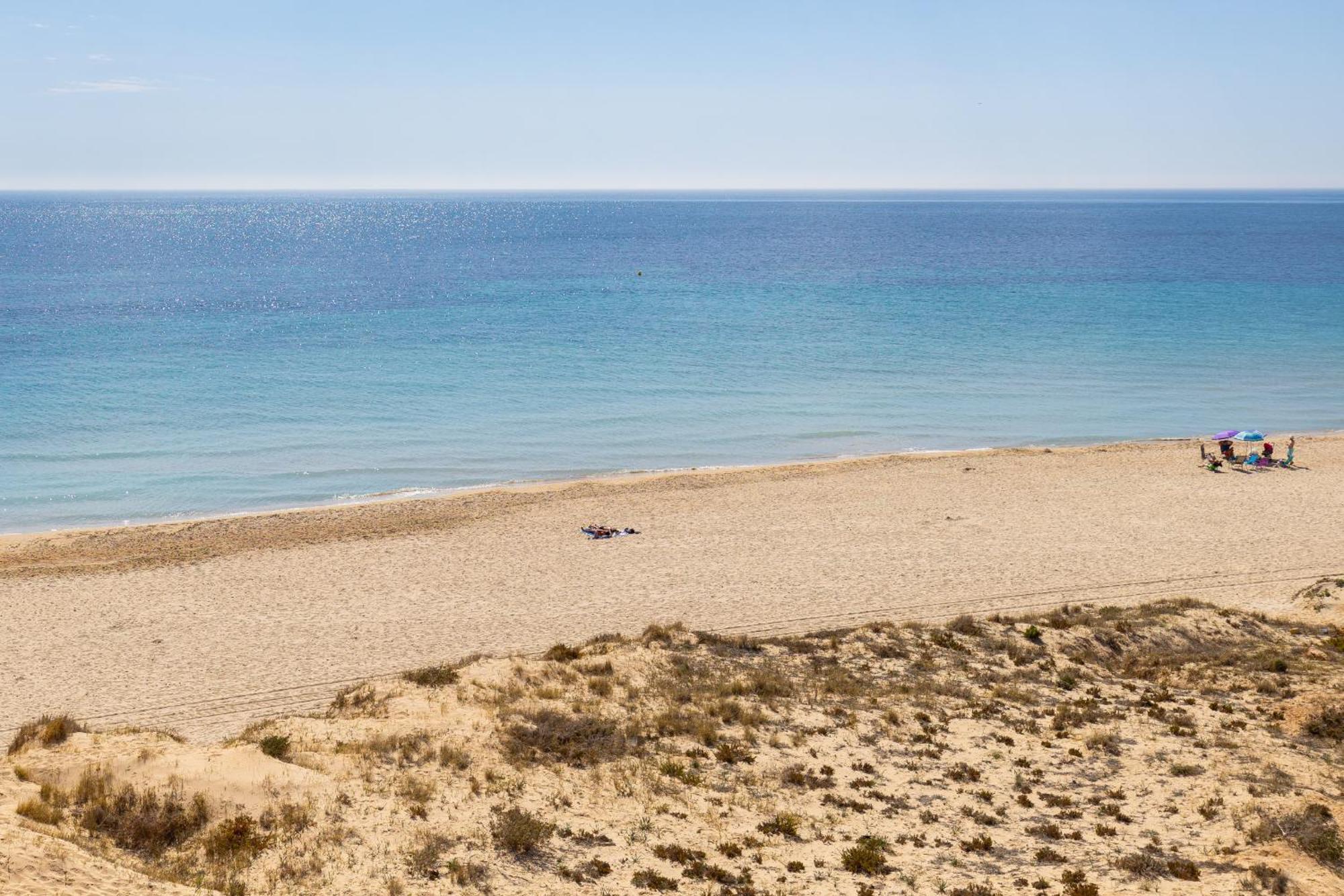 Paradise Palms By Fidalsa Dehesa de Campoamor  Dış mekan fotoğraf